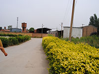 廠房道路